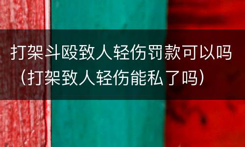 打架斗殴致人轻伤罚款可以吗（打架致人轻伤能私了吗）
