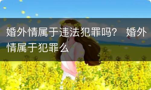 婚外情属于违法犯罪吗？ 婚外情属于犯罪么