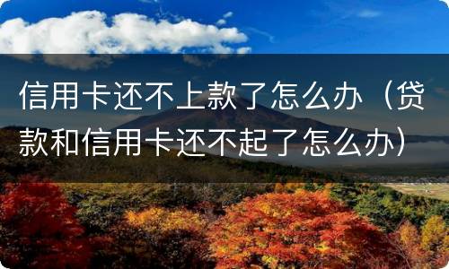 信用卡还不上款了怎么办（贷款和信用卡还不起了怎么办）