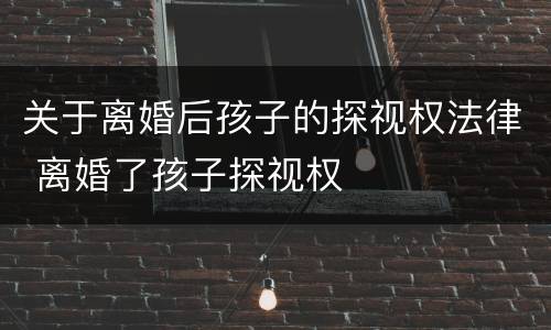 关于离婚后孩子的探视权法律 离婚了孩子探视权