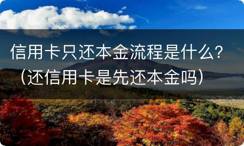 信用卡只还本金流程是什么？（还信用卡是先还本金吗）
