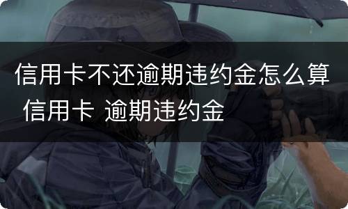 信用卡不还逾期违约金怎么算 信用卡 逾期违约金