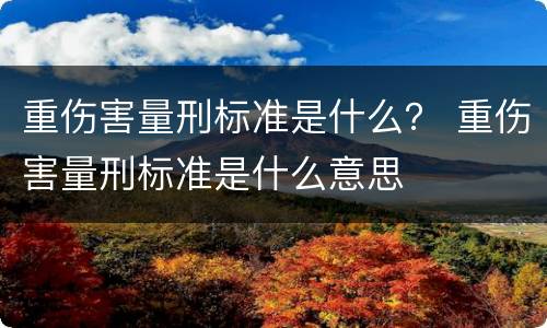 重伤害量刑标准是什么？ 重伤害量刑标准是什么意思