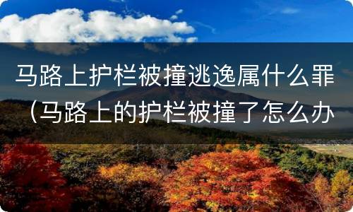 马路上护栏被撞逃逸属什么罪（马路上的护栏被撞了怎么办）
