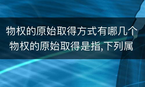 物权的原始取得方式有哪几个 物权的原始取得是指,下列属于物权