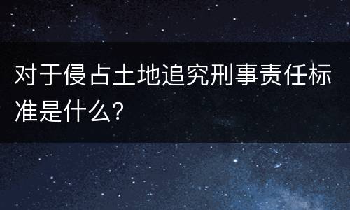 对于侵占土地追究刑事责任标准是什么？