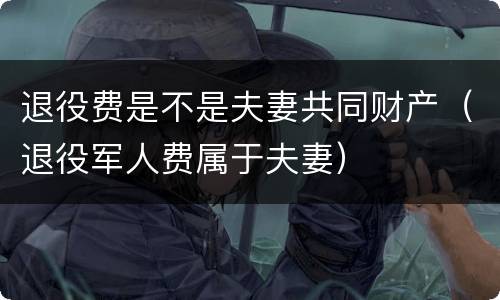 退役费是不是夫妻共同财产（退役军人费属于夫妻）
