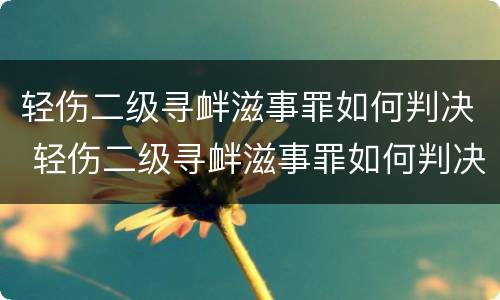 轻伤二级寻衅滋事罪如何判决 轻伤二级寻衅滋事罪如何判决案件