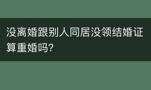 没离婚跟别人同居没领结婚证算重婚吗？