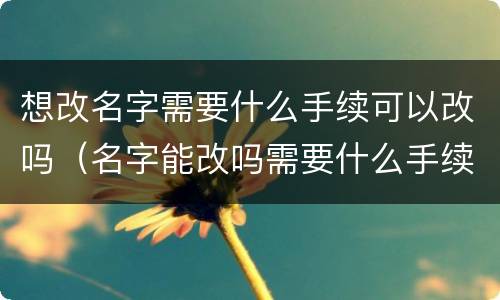 想改名字需要什么手续可以改吗（名字能改吗需要什么手续）