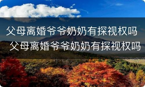 父母离婚爷爷奶奶有探视权吗 父母离婚爷爷奶奶有探视权吗