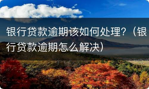 银行贷款逾期该如何处理?（银行贷款逾期怎么解决）