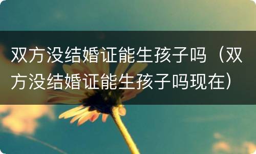 双方没结婚证能生孩子吗（双方没结婚证能生孩子吗现在）