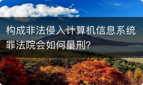 构成非法侵入计算机信息系统罪法院会如何量刑？