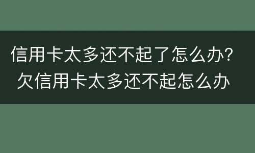 信用卡太多还不起了怎么办？ 欠信用卡太多还不起怎么办