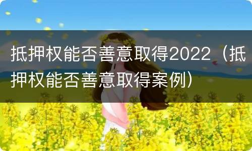 抵押权能否善意取得2022（抵押权能否善意取得案例）