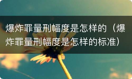 爆炸罪量刑幅度是怎样的（爆炸罪量刑幅度是怎样的标准）