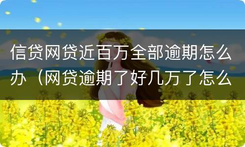 信贷网贷近百万全部逾期怎么办（网贷逾期了好几万了怎么办）
