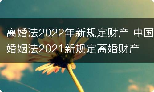 离婚法2022年新规定财产 中国婚姻法2021新规定离婚财产