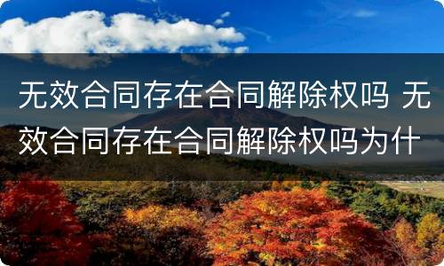 无效合同存在合同解除权吗 无效合同存在合同解除权吗为什么