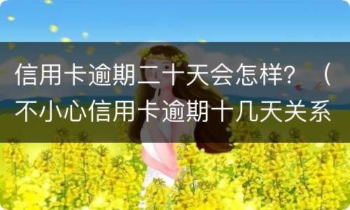 信用卡逾期二十天会怎样？（不小心信用卡逾期十几天关系大吗）