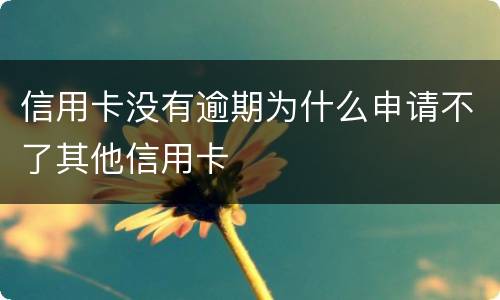 信用卡没有逾期为什么申请不了其他信用卡