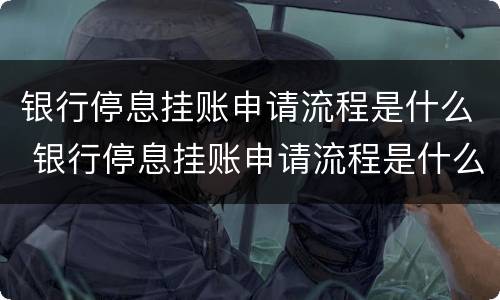 银行停息挂账申请流程是什么 银行停息挂账申请流程是什么意思