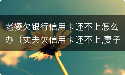 老婆欠银行信用卡还不上怎么办（丈夫欠信用卡还不上,妻子不知道怎样维护自己）