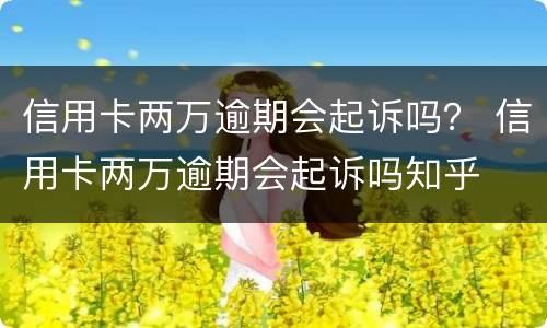 信用卡两万逾期会起诉吗？ 信用卡两万逾期会起诉吗知乎
