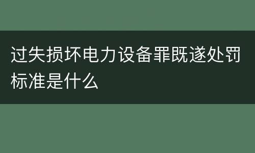 过失损坏电力设备罪既遂处罚标准是什么