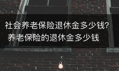 社会养老保险退休金多少钱？ 养老保险的退休金多少钱