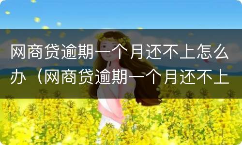 网商贷逾期一个月还不上怎么办（网商贷逾期一个月还不上怎么办呢）
