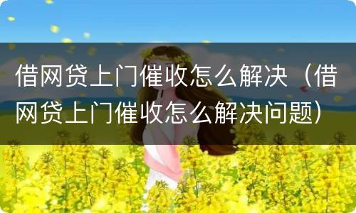 借网贷上门催收怎么解决（借网贷上门催收怎么解决问题）