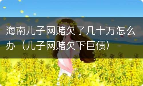 海南儿子网赌欠了几十万怎么办（儿子网赌欠下巨债）