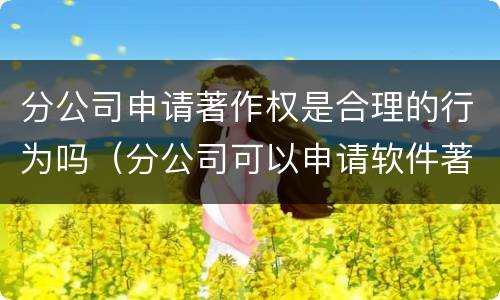 分公司申请著作权是合理的行为吗（分公司可以申请软件著作权吗）