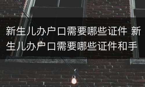新生儿办户口需要哪些证件 新生儿办户口需要哪些证件和手续