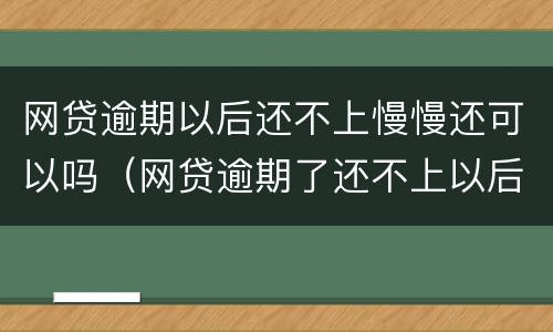 网贷逾期以后还不上慢慢还可以吗（网贷逾期了还不上以后怎么办）