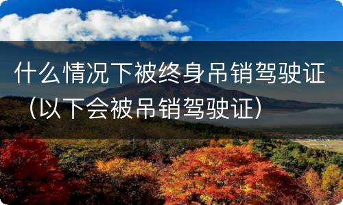 什么情况下被终身吊销驾驶证（以下会被吊销驾驶证）