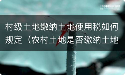 村级土地缴纳土地使用税如何规定（农村土地是否缴纳土地使用税）