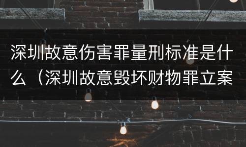 深圳故意伤害罪量刑标准是什么（深圳故意毁坏财物罪立案标准）