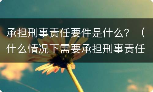 承担刑事责任要件是什么？（什么情况下需要承担刑事责任）