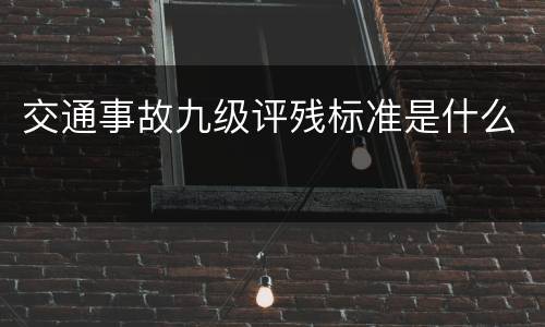 交通事故九级评残标准是什么