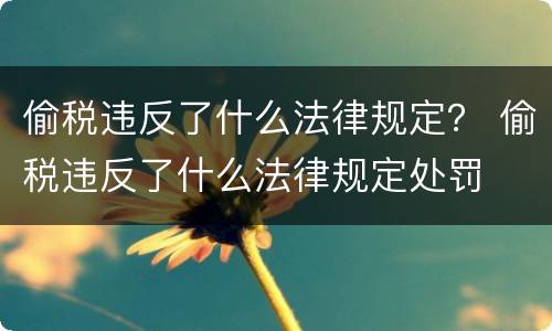偷税违反了什么法律规定？ 偷税违反了什么法律规定处罚