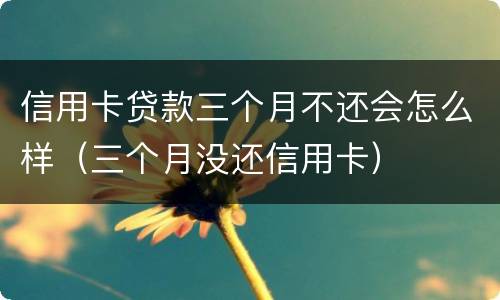 信用卡贷款三个月不还会怎么样（三个月没还信用卡）