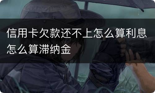 信用卡欠款还不上怎么算利息怎么算滞纳金