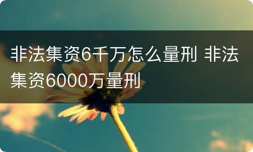 非法集资6千万怎么量刑 非法集资6000万量刑