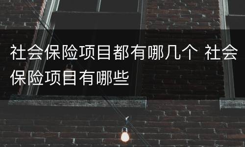 社会保险项目都有哪几个 社会保险项目有哪些