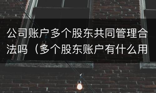 公司账户多个股东共同管理合法吗（多个股东账户有什么用）