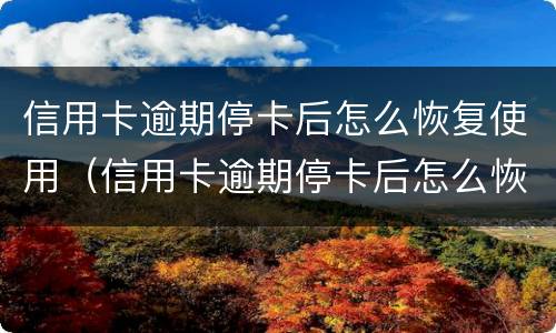 信用卡逾期停卡后怎么恢复使用（信用卡逾期停卡后怎么恢复使用的）