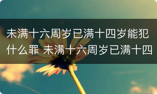 未满十六周岁已满十四岁能犯什么罪 未满十六周岁已满十四岁能犯什么罪行